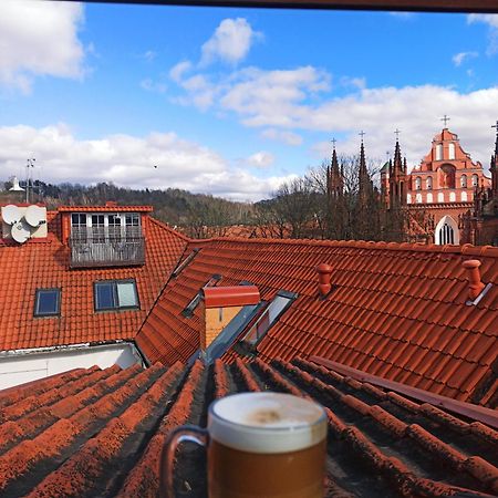 Private Sauna & 4 Bedrooms Old Town Rooftop Apartment VNO Exteriér fotografie