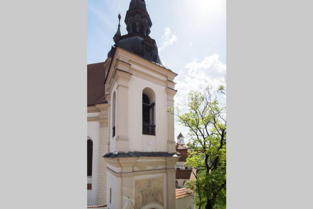 Private Sauna & 4 Bedrooms Old Town Rooftop Apartment VNO Exteriér fotografie