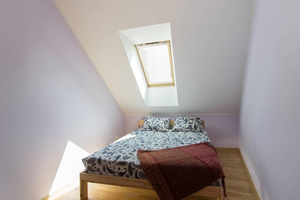 Private Sauna & 4 Bedrooms Old Town Rooftop Apartment VNO Exteriér fotografie
