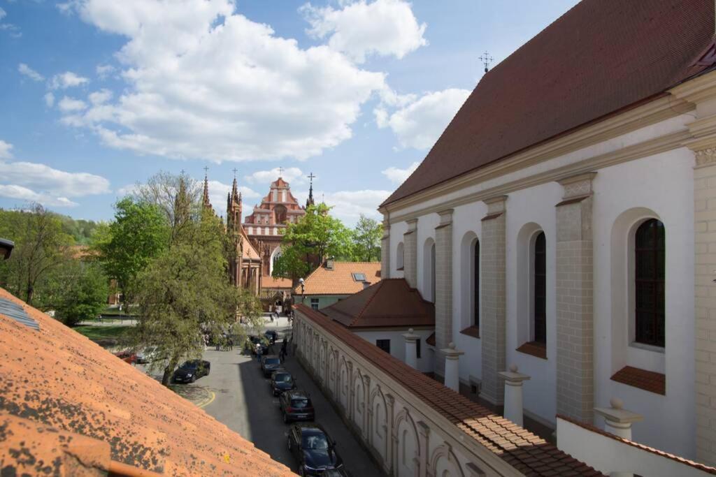 Private Sauna & 4 Bedrooms Old Town Rooftop Apartment VNO Exteriér fotografie