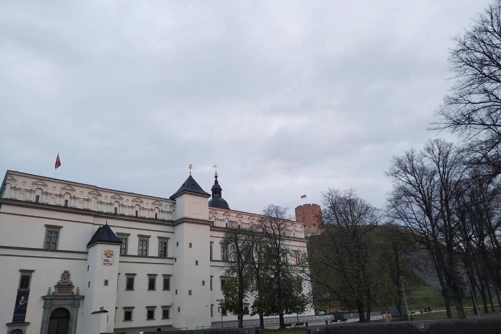 Private Sauna & 4 Bedrooms Old Town Rooftop Apartment VNO Exteriér fotografie