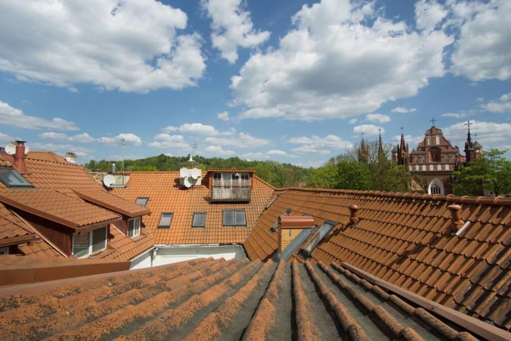 Private Sauna & 4 Bedrooms Old Town Rooftop Apartment VNO Exteriér fotografie