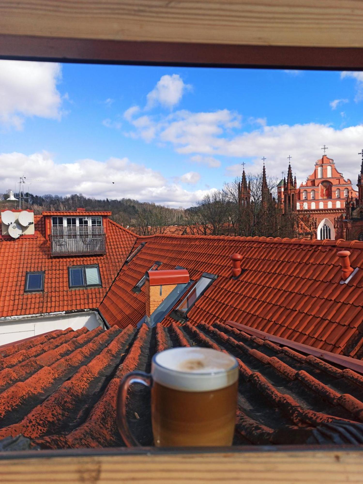 Private Sauna & 4 Bedrooms Old Town Rooftop Apartment VNO Exteriér fotografie